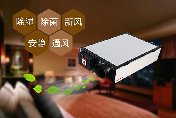 工业泡芙短视频APP官方下载地址不同除湿系统的优点和缺点
