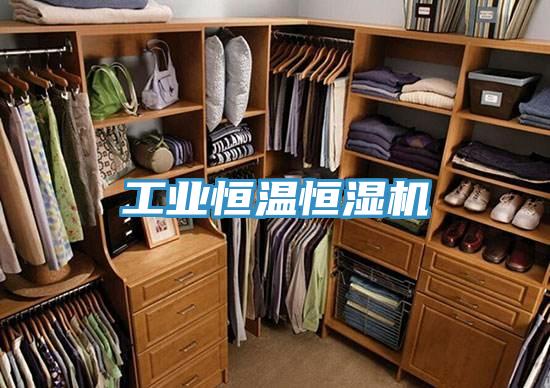 工业恒温恒湿机