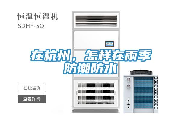 在杭州，怎样在雨季防潮防水