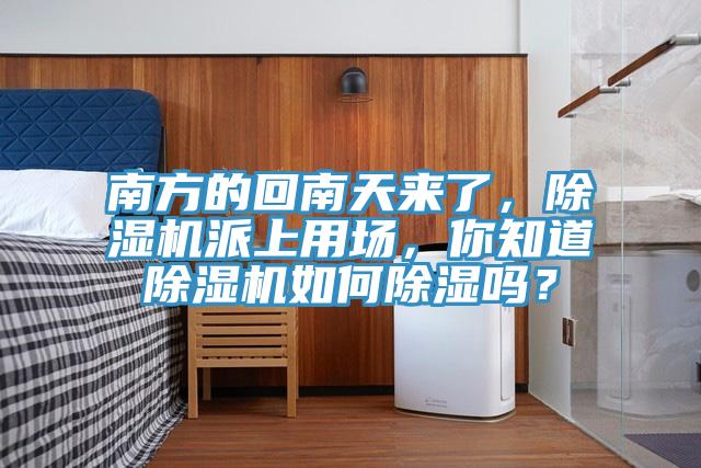 南方的回南天来了，泡芙短视频APP官方下载地址派上用场，你知道泡芙短视频APP官方下载地址如何除湿吗？