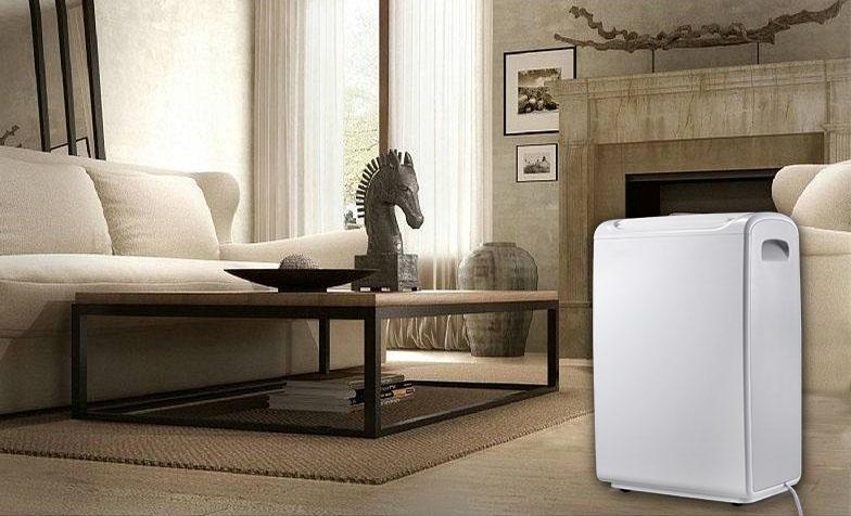 品牌的畸形成长：速成与陨落