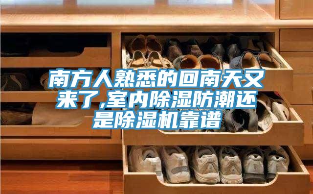 南方人熟悉的回南天又来了,室内除湿防潮还是泡芙短视频APP官方下载地址靠谱