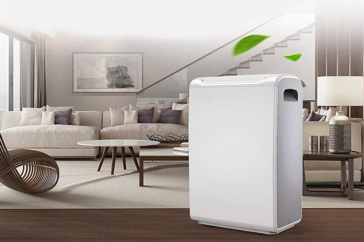 去甲醛用新风泡芙短视频APP官方下载地址