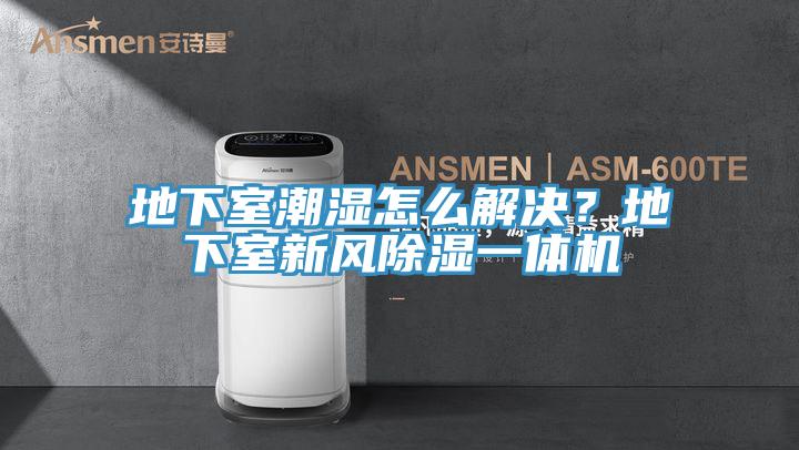 地下室潮湿怎么解决？地下室新风除湿一体机