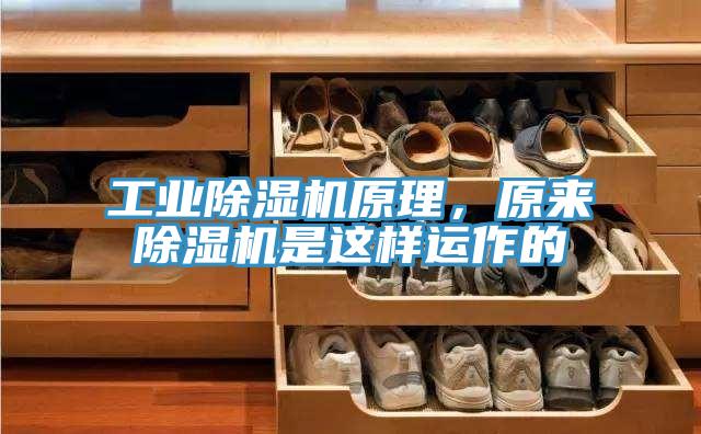 工业泡芙短视频APP官方下载地址原理，原来泡芙短视频APP官方下载地址是这样运作的