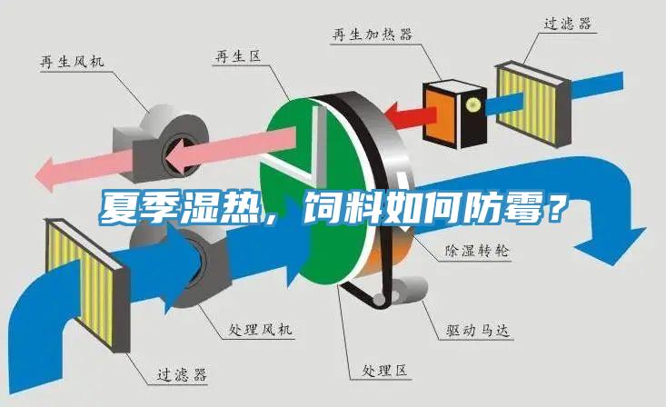 夏季湿热，饲料如何防霉？