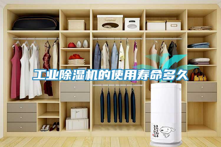 工业泡芙短视频APP官方下载地址的使用寿命多久