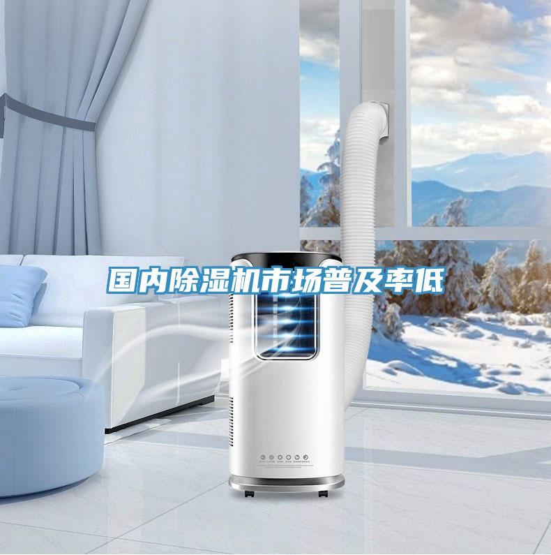 国内泡芙短视频APP官方下载地址市场普及率低