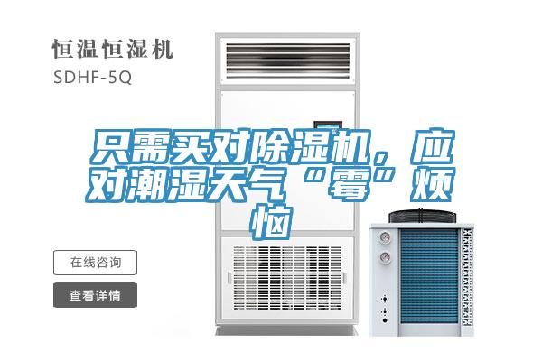 只需买对泡芙短视频APP官方下载地址，应对潮湿天气“霉”烦恼