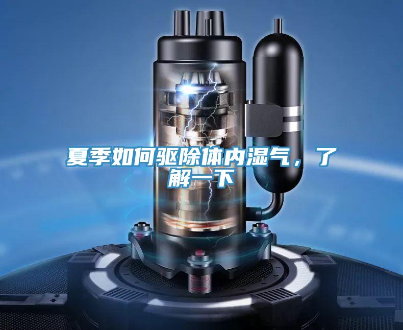 夏季如何驱除体内湿气，了解一下