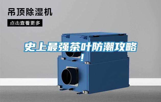 史上最强茶叶防潮攻略！