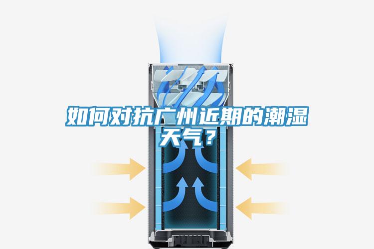 如何对抗广州近期的潮湿天气？