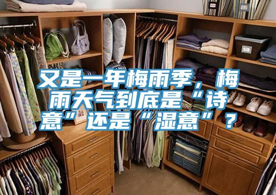 又是一年梅雨季，梅雨天气到底是“诗意”还是“湿意”？