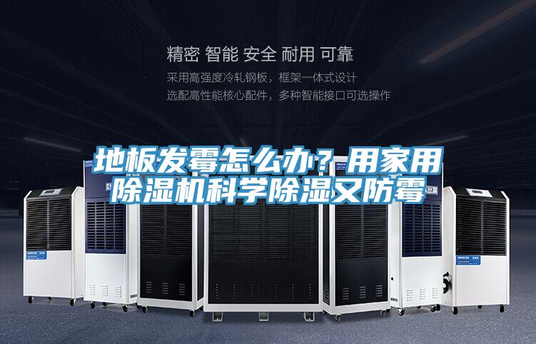 地板发霉怎么办？用家用泡芙短视频APP官方下载地址科学除湿又防霉