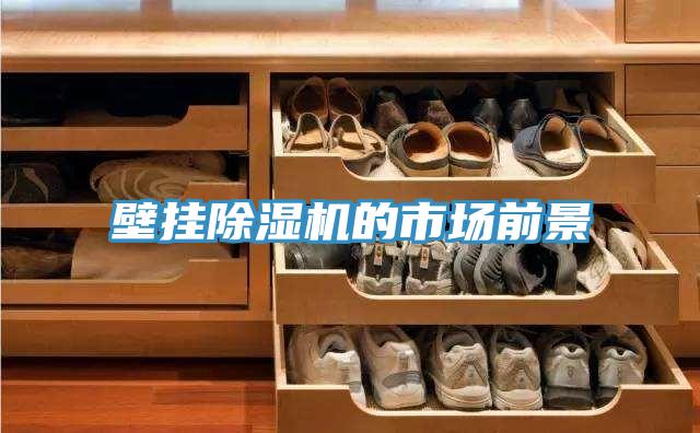 壁挂泡芙短视频APP官方下载地址的市场前景