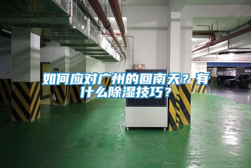 如何应对广州的回南天？有什么除湿技巧？