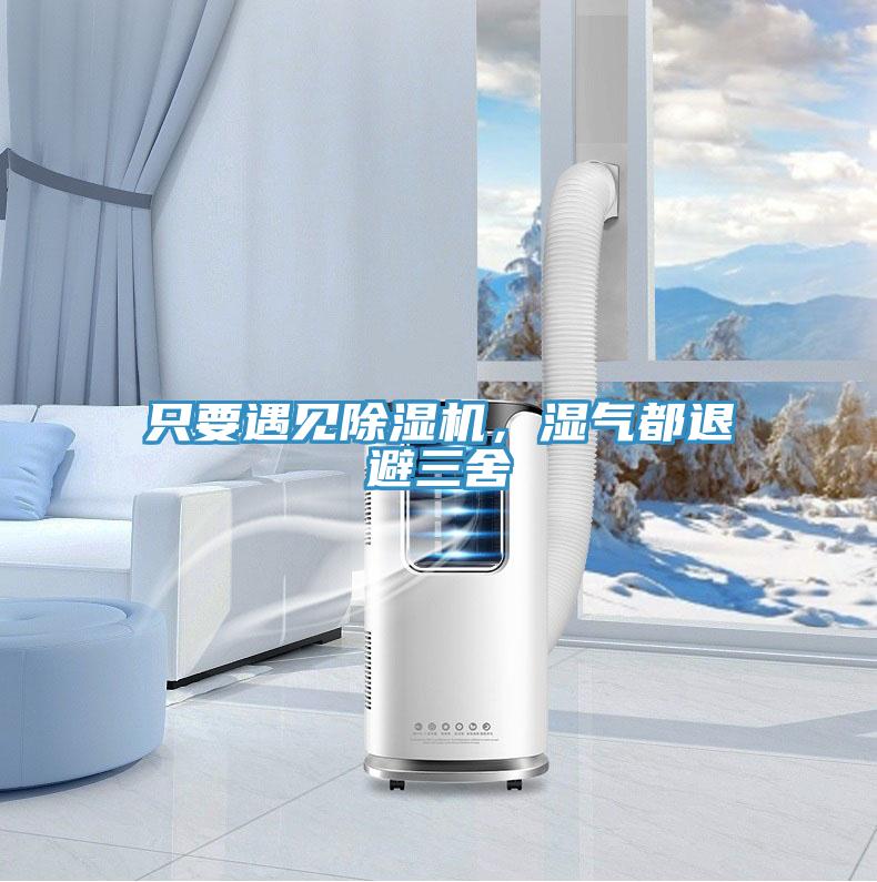 只要遇见泡芙短视频APP官方下载地址，湿气都退避三舍