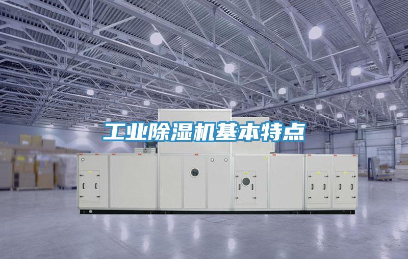 工业泡芙短视频APP官方下载地址基本特点