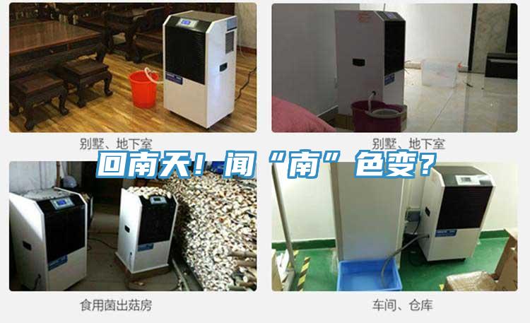 回南天！闻“南”色变？