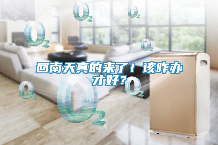 回南天真的来了！该咋办才好？
