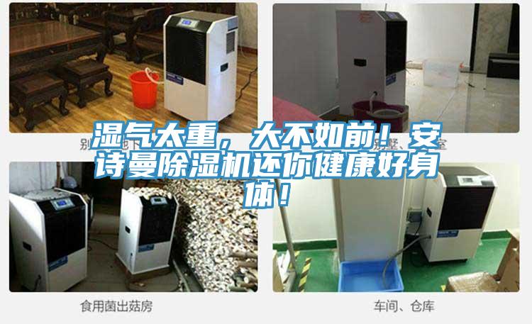 湿气太重，大不如前！泡芙短视频APP安装泡芙短视频APP官方下载地址还你健康好身体！