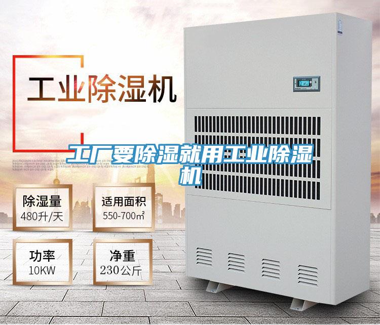 工厂要除湿就用工业泡芙短视频APP官方下载地址