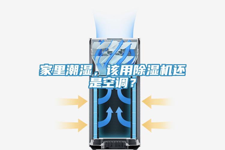 家里潮湿，该用泡芙短视频APP官方下载地址还是空调？