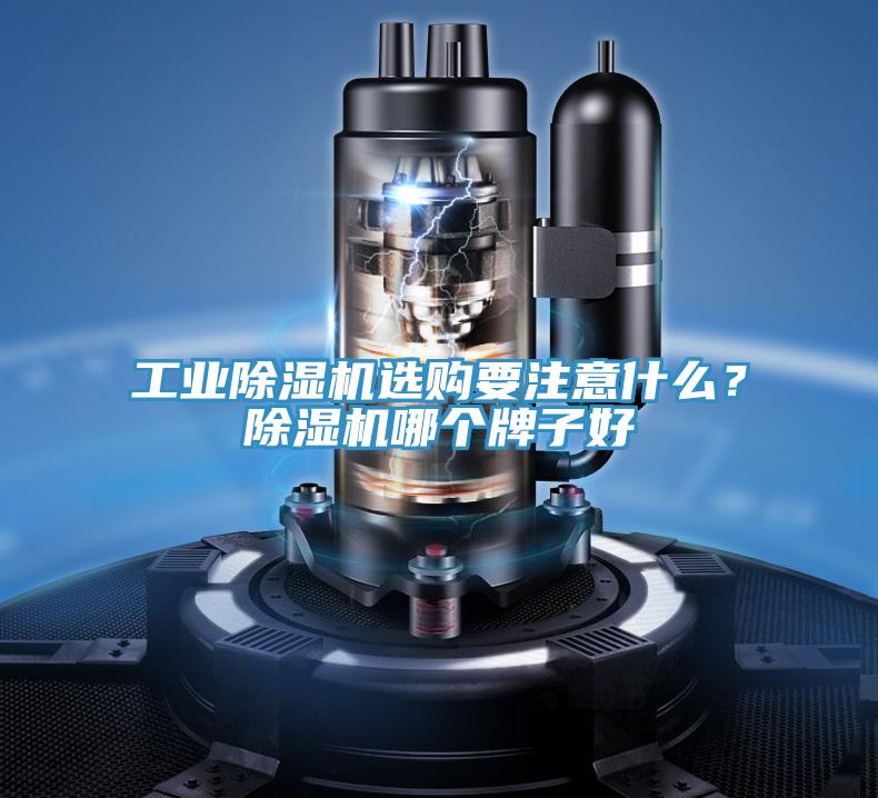 工业泡芙短视频APP官方下载地址选购要注意什么？泡芙短视频APP官方下载地址哪个牌子好