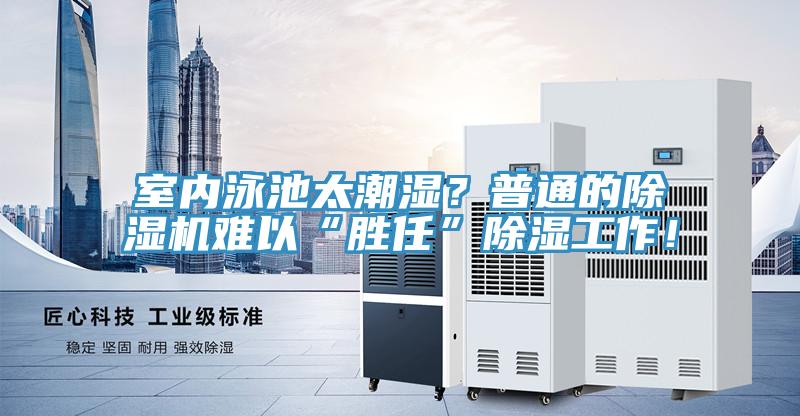 室内泳池太潮湿？普通的泡芙短视频APP官方下载地址难以“胜任”除湿工作！