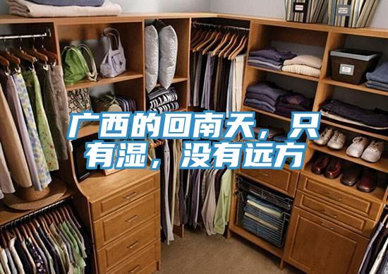 广西的回南天，只有湿，没有远方