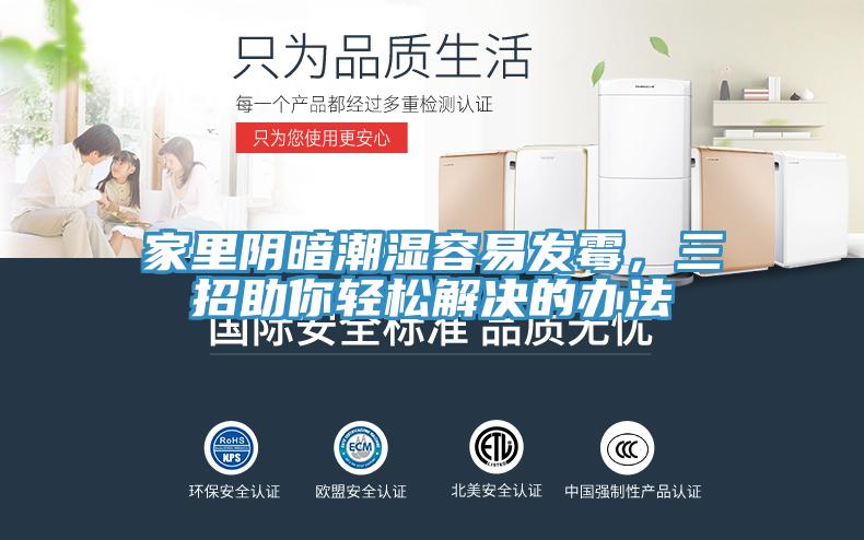 家里阴暗潮湿容易发霉，三招助你轻松解决的办法