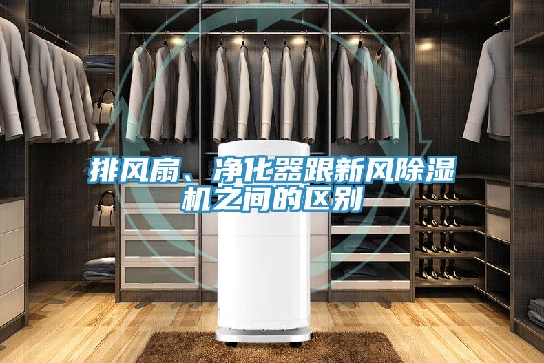 排风扇、净化器跟新风泡芙短视频APP官方下载地址之间的区别