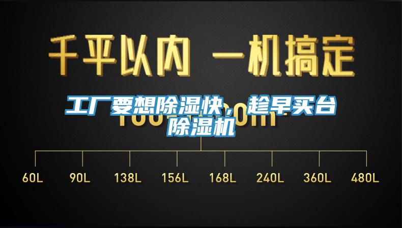 工厂要想除湿快，趁早买台泡芙短视频APP官方下载地址