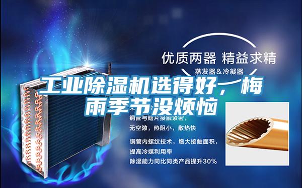 工业泡芙短视频APP官方下载地址选得好，梅雨季节没烦恼