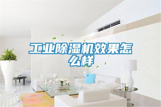 工业泡芙短视频APP官方下载地址效果怎么样