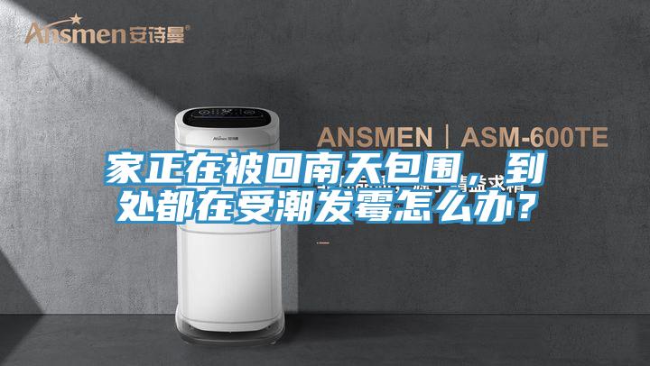 家正在被回南天包围，到处都在受潮发霉怎么办？