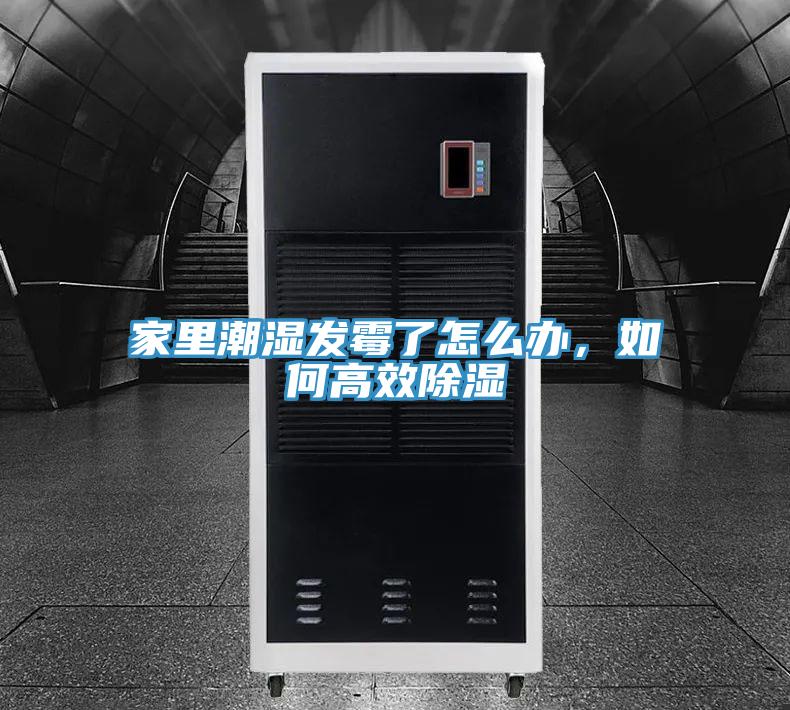 家里潮湿发霉了怎么办，如何高效除湿