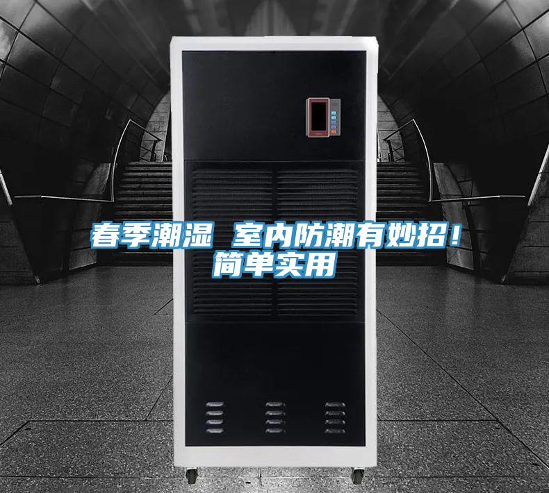 春季潮湿 室内防潮有妙招！简单实用