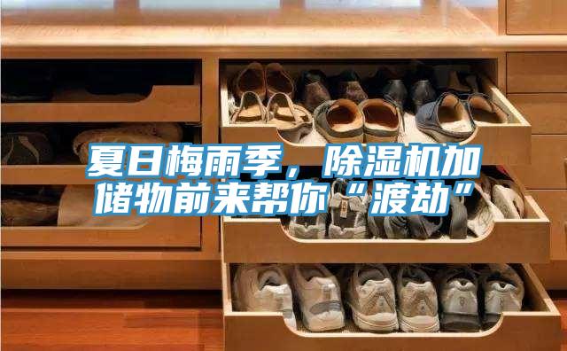 夏日梅雨季，泡芙短视频APP官方下载地址加储物前来帮你“渡劫”