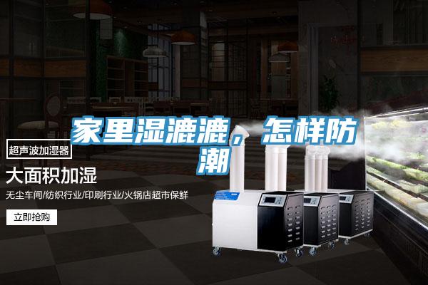 家里湿漉漉，怎样防潮