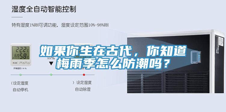 如果你生在古代，你知道梅雨季怎么防潮吗？