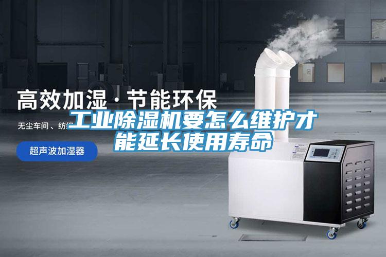 工业泡芙短视频APP官方下载地址要怎么维护才能延长使用寿命