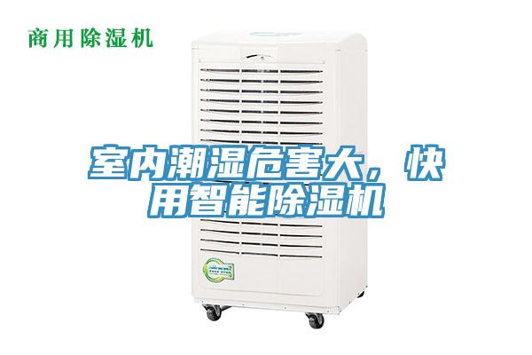 室内潮湿危害大，快用智能泡芙短视频APP官方下载地址