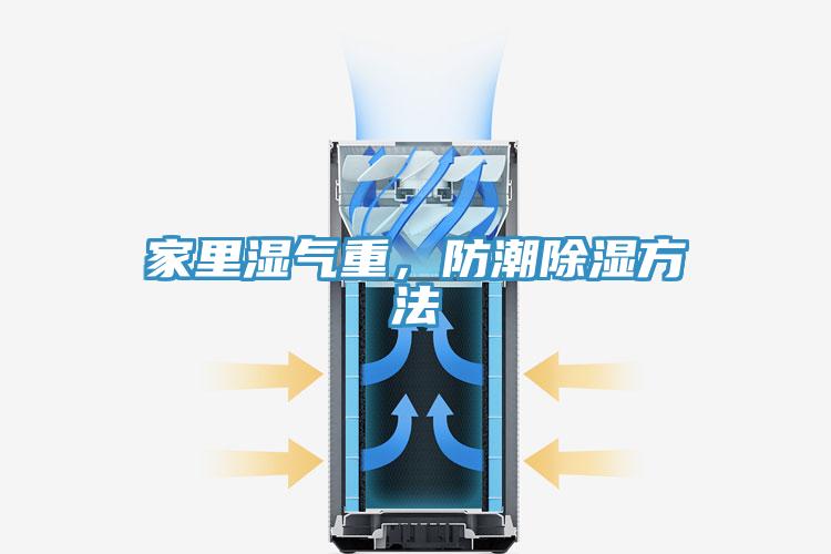 家里湿气重，防潮除湿方法