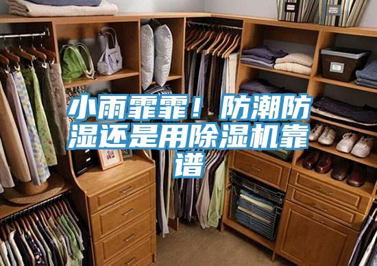 小雨霏霏！防潮防湿还是用泡芙短视频APP官方下载地址靠谱