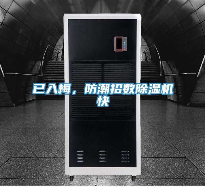 已入梅，防潮招数泡芙短视频APP官方下载地址快