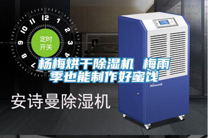 杨梅烘干泡芙短视频APP官方下载地址 梅雨季也能制作好蜜饯