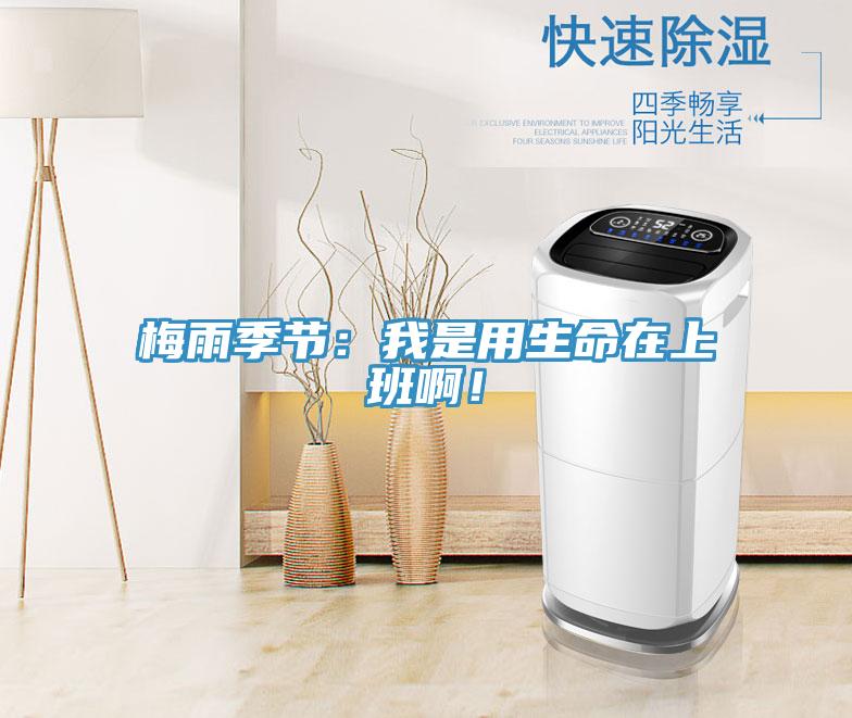 梅雨季节：我是用生命在上班啊！