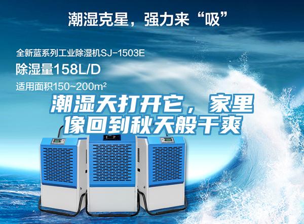 潮湿天打开它，家里像回到秋天般干爽