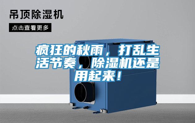 疯狂的秋雨，打乱生活节奏，泡芙短视频APP官方下载地址还是用起来！